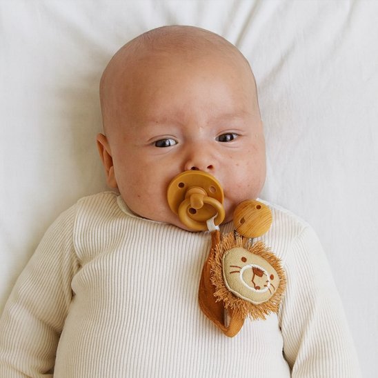 Attache tétine | Savane - clip™Dodo magique